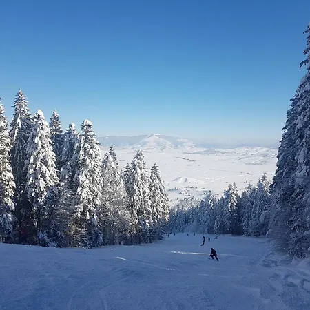 Διαμέρισμα Potok