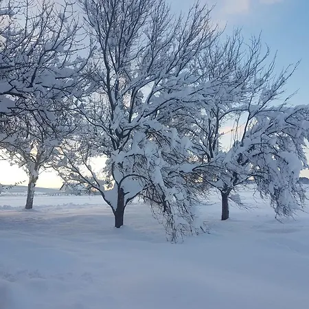 Potok * Livno